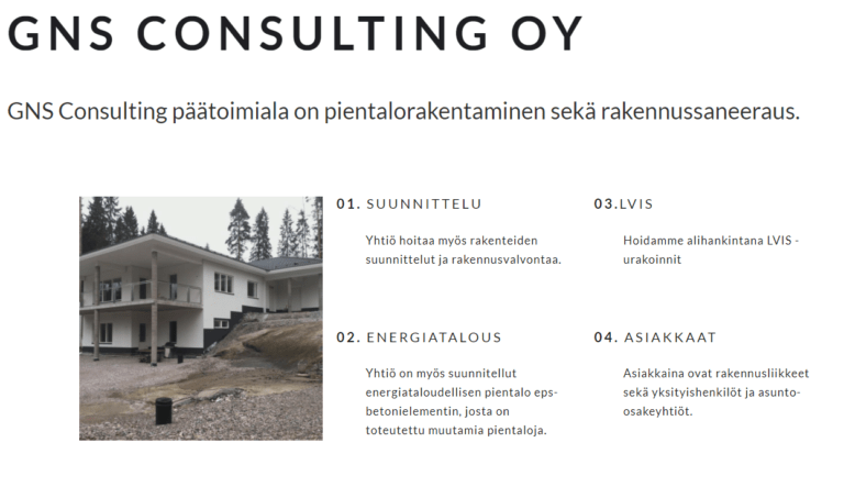 GNS Consulting Oy